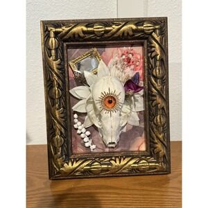 Framed Raccoon Skull Art Witchy Gothic Fairycore Oddities Curiosities